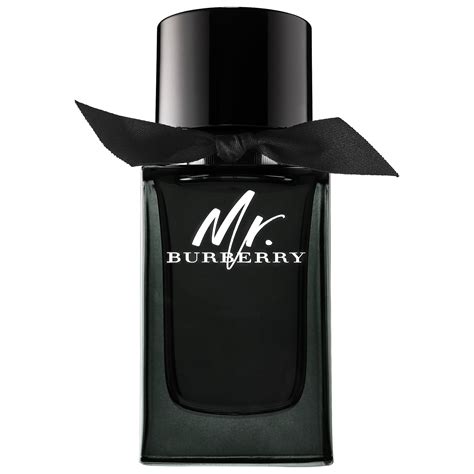 mr burberry eau de parfum sephora|mr burberry perfume review.